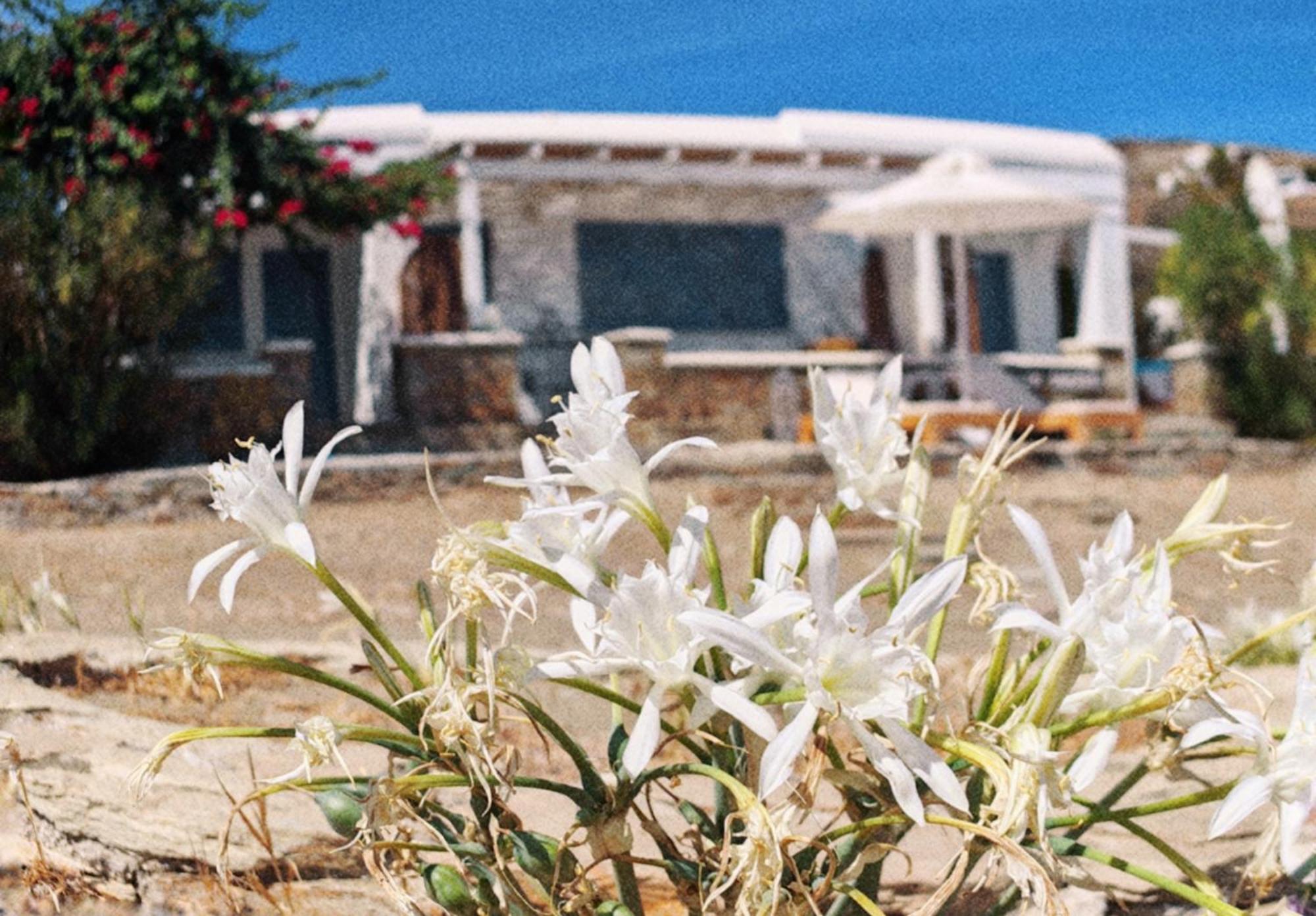 Diana'S Luxury Suites Kíthnos Dış mekan fotoğraf